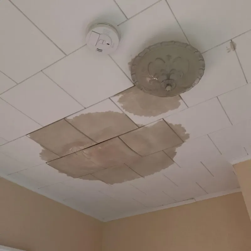 Ceiling Water Damage Repair in McAllen, TX